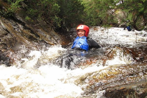 Half Day Cradle Mountain Canyoning: Lost World Canyon - Your Accommodation 0