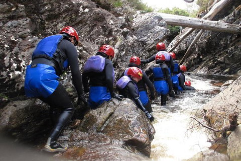 Half Day Cradle Mountain Canyoning: Lost World Canyon - Your Accommodation 1