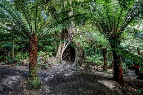 Adelaide To Melbourne 3-Day Trip Through Grampians And Great Ocean Road - Your Accommodation 4