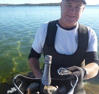 Coffin Bay Oyster Farm  Tasting Tour - Your Accommodation