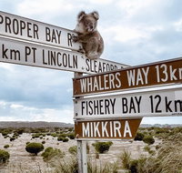 Private Port Lincoln Day Tour Tasting Eyre - Your Accommodation