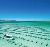 Coffin Bay Private Day Tour from Port Lincoln - A Taste of Coffin Bay - Your Accommodation