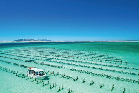 Coffin Bay Private Day Tour From Port Lincoln - A Taste Of Coffin Bay - Your Accommodation 0
