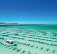 Coffin Bay Day Tour - A Taste of Coffin Bay - Your Accommodation
