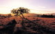 Adelaide To Coober Pedy 7 DAY SMALL GROUP 4WD SAFARI - thumb 0
