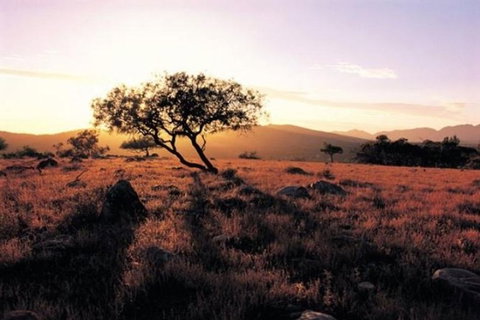 Adelaide To Coober Pedy 7 DAY SMALL GROUP 4WD SAFARI - Your Accommodation 0