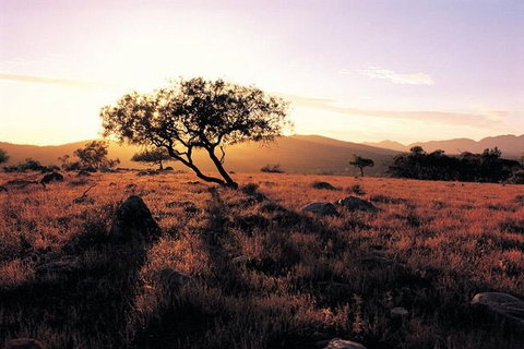 Adelaide To Coober Pedy 7 DAY SMALL GROUP 4WD SAFARI - Your Accommodation 4
