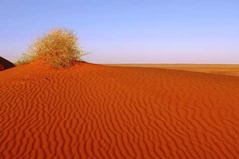 Adelaide To Coober Pedy 7 DAY SMALL GROUP 4WD SAFARI - Your Accommodation 3