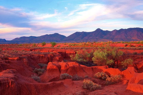 Adelaide To Coober Pedy 7 DAY SMALL GROUP 4WD SAFARI - Your Accommodation 7