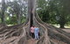 A Taste Of Adelaide And Hahndorf By Car Private Tour. - thumb 11