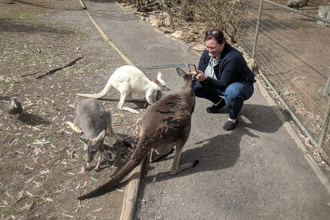 A Taste Of Adelaide And Hahndorf By Car Private Tour. - Your Accommodation 8
