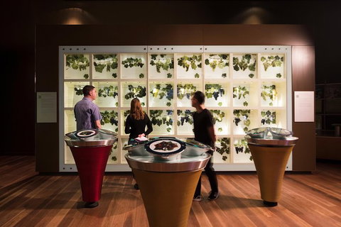 Australian Wine Discovery Tour Ticket - Your Accommodation 5