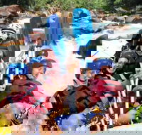 Tully River Full-Day White Water Rafting from Cairns including Lunch - Your Accommodation