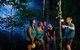 Daintree Rainforest Night Walk From Cape Tribulation - thumb 0