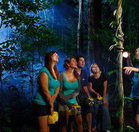Daintree Rainforest Night Walk from Cape Tribulation - Your Accommodation
