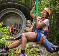 Cape Tribulation Jungle Surfing Canopy Tour - Your Accommodation