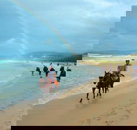 Rainbow Beach Horse Ride - Your Accommodation