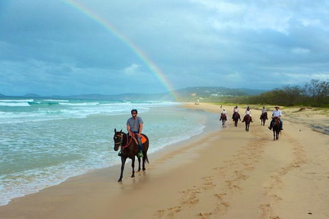 Rainbow Beach Horse Ride - Your Accommodation 0