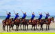 Rainbow Beach Horse Ride - thumb 4