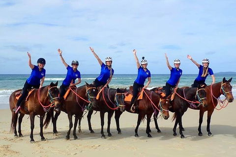 Rainbow Beach Horse Ride - Your Accommodation 4