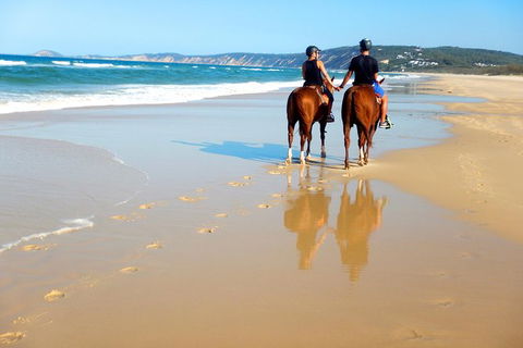 Rainbow Beach Horse Ride - Your Accommodation 3
