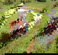 Country Day Ride from Mt Goomboorian with Rainbow Beach Horse Rides - Your Accommodation