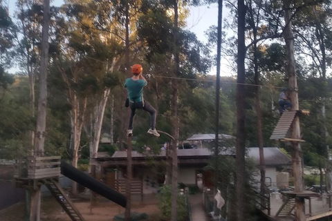 Tamborine Mountain Daily Service, Treetop Challenge And Thunderbird Park - Your Accommodation 1