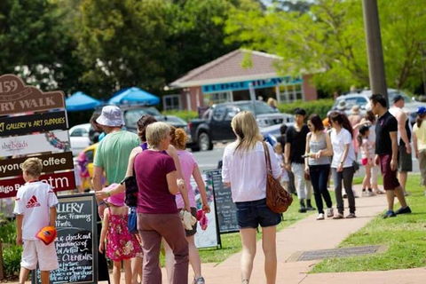 Tamborine Mountain Daily Service, Treetop Challenge And Thunderbird Park - Your Accommodation 6