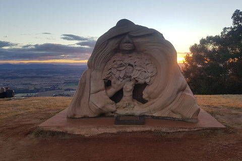 Tamborine Mountain Daily Service, Treetop Challenge And Thunderbird Park - Your Accommodation 11