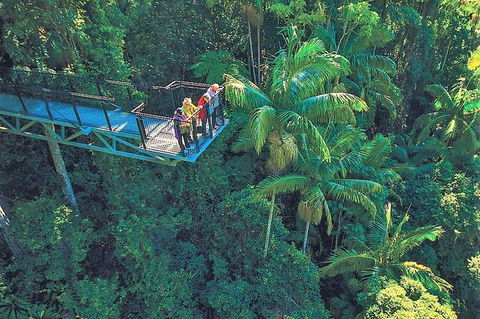 Tamborine Mountain Daily Service, Treetop Challenge And Thunderbird Park - Your Accommodation 12