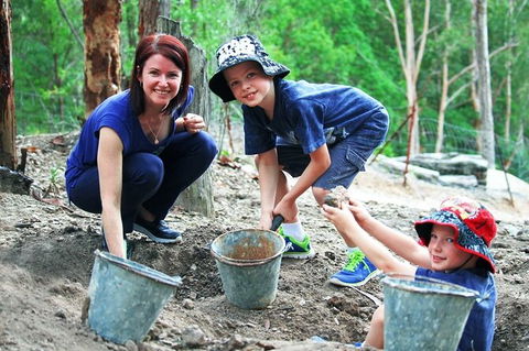 Tamborine Mountain Daily Service, Treetop Challenge And Thunderbird Park - Your Accommodation 8