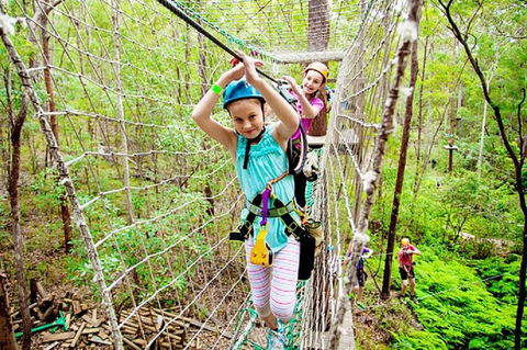 Tamborine Mountain Daily Service, Treetop Challenge And Thunderbird Park - Your Accommodation 4