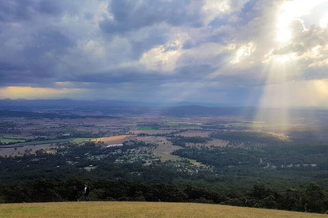 Tamborine Mountain Daily Service, Treetop Challenge And Thunderbird Park - Your Accommodation 3