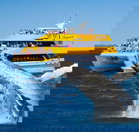 Spirit of Hervey Bay Whale Watching Cruise - Your Accommodation