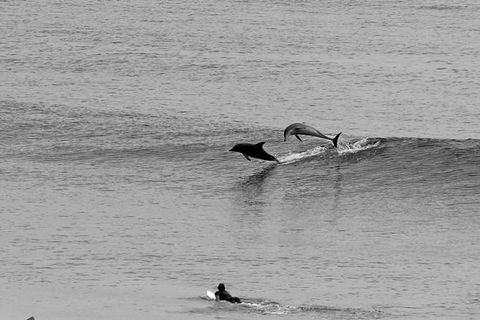 Overnight Tweed Coast Camping And Surfing Getaway From The Gold Coast - Your Accommodation 0