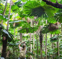Cape Tribulation Daintree Rainforest and Wildlife Tour - Your Accommodation