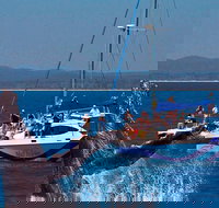 Blue Dolphin Exclusive Whale Watch Encounters - Your Accommodation