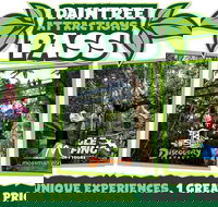 Daintree Atttractions Pass The Best of the Daintree in a Day - Your Accommodation