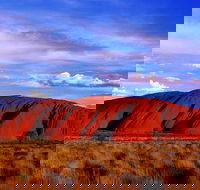 Uluru and Kata Tjuta Experience with BBQ Dinner - Your Accommodation