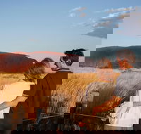 Uluru Ayers Rock Sunset with Outback Barbecue Dinner and Star Tour - Your Accommodation