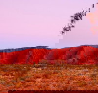 Best of Ayers Rock Sunset Uluru and Sunrise Kata Tjuta Small Group Tours - Your Accommodation