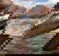 Kata Tjuta Small-Group Tour Including Sunrise and Breakfast - Your Accommodation