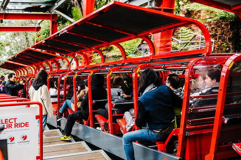 All-Inclusive Blue Mountains Day Trip With River Cruise - Your Accommodation 7