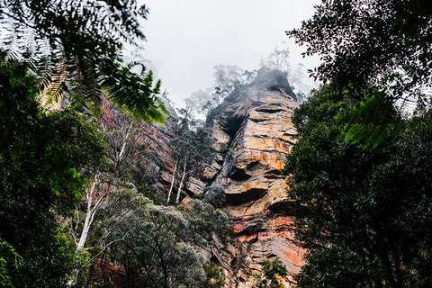All-Inclusive Blue Mountains Day Trip With River Cruise - Your Accommodation 3