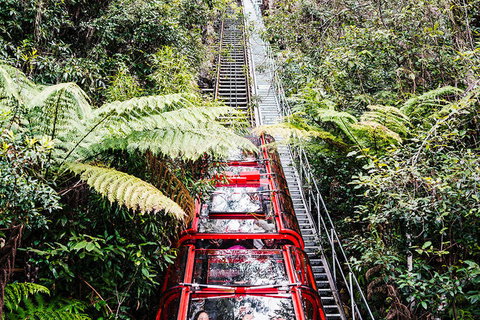 All-Inclusive Blue Mountains Day Trip With River Cruise - Your Accommodation 6