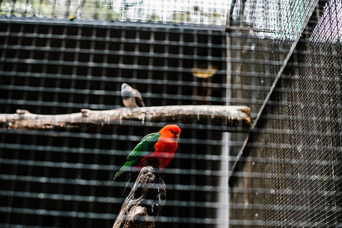 All-Inclusive Blue Mountains Day Trip With River Cruise - Your Accommodation 17