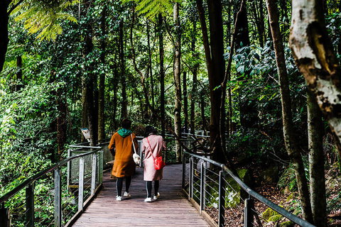 All-Inclusive Blue Mountains Day Trip With River Cruise - Your Accommodation 10