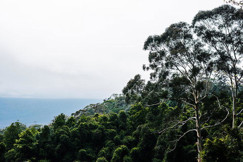 All-Inclusive Blue Mountains Day Trip With River Cruise - Your Accommodation 18