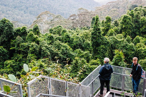 All-Inclusive Blue Mountains Day Trip With River Cruise - Your Accommodation 2