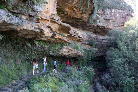 All-Inclusive Blue Mountains Day Trip With River Cruise - Your Accommodation 38